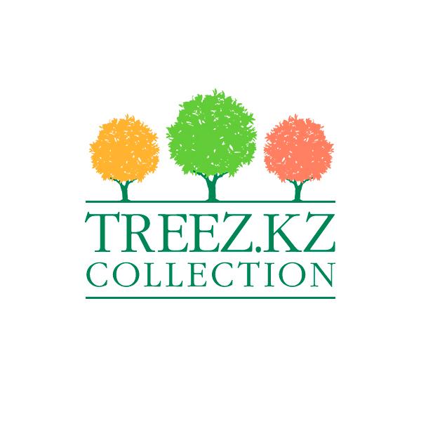 treez_kz